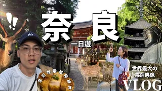 【奈良一日遊Vlog】超壯觀🤩奈良必訪景點！不只能餵鹿而已！療癒身心的知性之旅！世上最大青銅佛像！全日本最厚豬排丼！奈良公園/興福寺/東大寺/春日大社/若草山｜日本旅遊Traveling