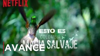 Colombia Magia Salvaje | Avance | Netflix