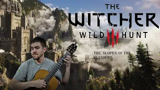 THE WITCHER 3 - The Slopes of the Blessure cover classical guitar