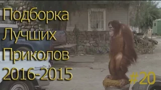 ПОДБОРКА ЛУЧШИХ ПРИКОЛОВ 2015-2016 #20 Compilation funny videos and best fails.