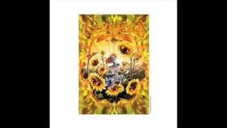 Grateful Dead- China Cat Sunflower Backtrack