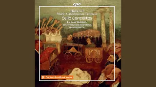 Cello Concerto in B Minor, Op. 67: II. Andante