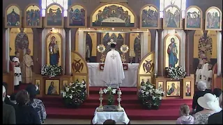 Divine liturgy - April 17, 2022 - Pascha