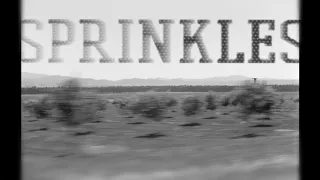 Mix 55: DJ Sprinkles' Controllable Desire 2006-2018 (Mule Musiq, Skylax, Comatonse)
