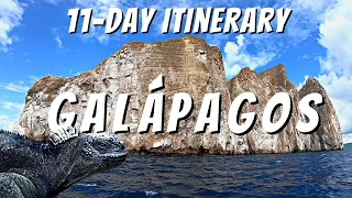 11-DAY ITINERARY GALÁPAGOS ISLANDS, ECUADOR | How To Visit The Galápagos Islands On A Budget