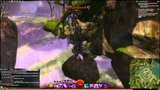 GW2 Morgan's Leap Caledon Forest jumping puzzle guide