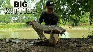 KOOL-AID Chicken Liver CATCHES BIG CATFISH!!! (NEW PB)