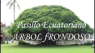 Pasillo Ecuatoriano / Árbol frondoso / José Herrera