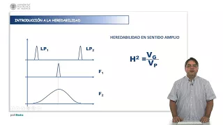 Introducción al concepto de heredabilidad | 15/92 | UPV