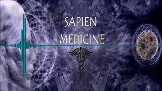 A Life of Magical Abundance by Sapien Medicine (morphic/psychic energetically programmed)