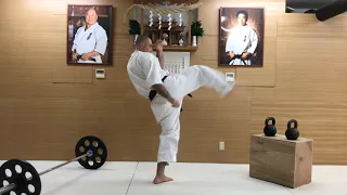 Kyokushin - Legs Training "Intermediate"