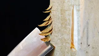 7 Quick Wood Carving Tips for Beginners