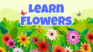 Floral Friends | M & D fun zone | Exciting fun Adventures in Learning about Flowers for Kids