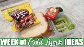 Quick & Easy Cold Lunch Ideas for Work or School