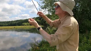 The Hampshire Avon in June