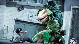 "Feed Me" Featuring Brent Hill (Little Shop of Horrors: Australia)