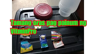 Vitminpro tuwing hapon ang painum vlog 14