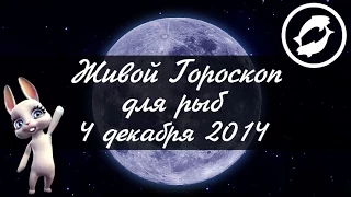 Зайка Zoobe - гороскоп для РЫБ ♓ на 4 декабря