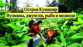 Остров Кунашир. Вулканы, рыба и медведи // Kunashir Island. Volcanoes, fish and bears (Eng Subs)