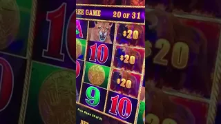 Buffalo Link HUGE jackpot win at the Cosmopolitan! Lindsey going wild with $20 spins!