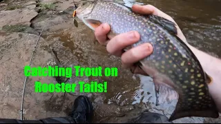 Catching Brooke trout on rooster tails! small Pennsylvania Creek, Catch and release.