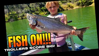 Trout & Landlocked Salmon Report! #fishing #trolling #trout #fish #troutfishing #salmon