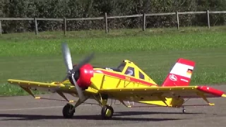 HUGE PZL 106 KRUK RC AIRPLANE together with a AIRWORLD SEAFURY HAUSEN 2017