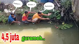 Sudah emosi, akhirnya kolamnya dipagar‼️mancing gurameh harga 4,5 juta.