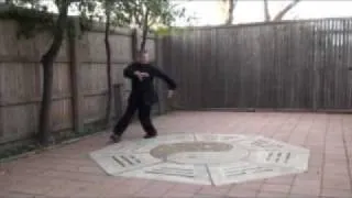 Baguazhang Jiulong:  Basic Circle Walking Turns