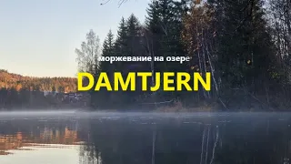 Моржевание на озере DAMTJERN, Южная Норвегия