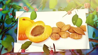 Интересные факты об абрикосах
