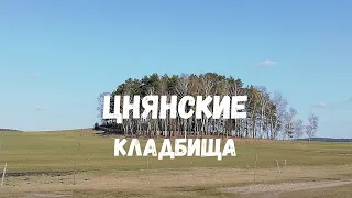 Нашел много интересного на старых кладбищах Минска