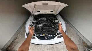 How I'm Building A 1300HP 4.6L 2V Engine For My Supercharged 2004 Mustang GT!