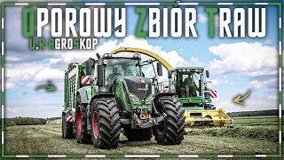 🔥 Oporowy Zbiór Traw Sieczkarnią z Firmą AgroSkop 🔥 Sianokiszonka 2022 🔥 3x Fendt, 3x John Deere 🔥