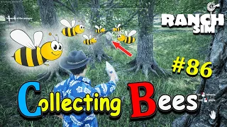 COLLECTING BEES TODAY - IT HARD TO COLLECT || RANCH SIMULATOR || OBSTINATE IS LIVE || HINDI ||