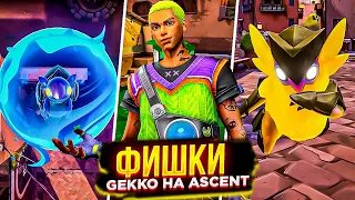 Gekko Tips & Tricks You Need to Know on Ascent. Gekko Guide. How to Play GEKKO