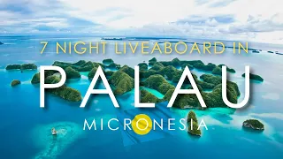 Palau, Micronesia 🇵🇼 - 7-Night Scuba Diving Liveaboard | Is it WORTH IT? What to Expect