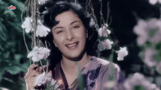 Aaja Sanam Madhur Chandni Mein Hum 4K   Chori Chori Song In Color   Raj Kapoor   Nargis OLD SONG