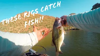 TOP 3 RIGS You HAVE TO KNOW To Fish In ARIZONA!