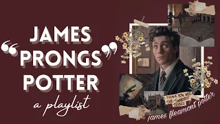 ❝What's life without a little risk?❞ - a james potter playlist