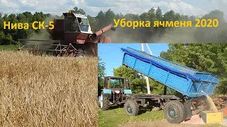 Молотим ячмінь. Уборка Ячменя 2020. Комбайн Нива Ск5. Перший бункер єсть.