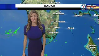 Local 10 News Weather: 05/24/21 Morning Edition