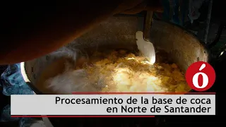 Así se procesa la base de coca en Norte de Santander
