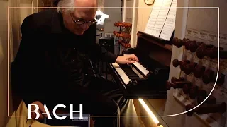 Van Doeselaar over Bach Cantate BWV 36 | Nederlandse Bachvereniging