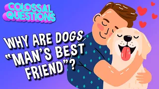 Why Are Dogs “Man’s Best Friend”? | COLOSSAL QUESTIONS