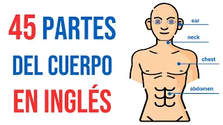 Partes del Cuerpo en Inglés con Pronunciación | Súper Inglés