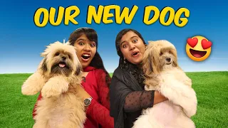 😍Our FIRST TIME - With DOG Kuttyy🐶 || Fun Overloaded Food Street Vlog || Ammu Times |