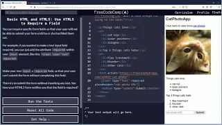 Use HTML5 to Require a Field Free Code Camp Org Basic HTML and HTML5