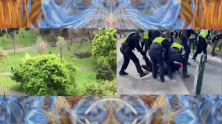 Australian Rules Psychedelic Pandemic Police