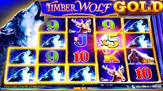 TIMBER WOLF GOLD !!! WONDER 4 BOOST - BIG BONUS!!! 4x SCREENS - Slot Machine in CASINO